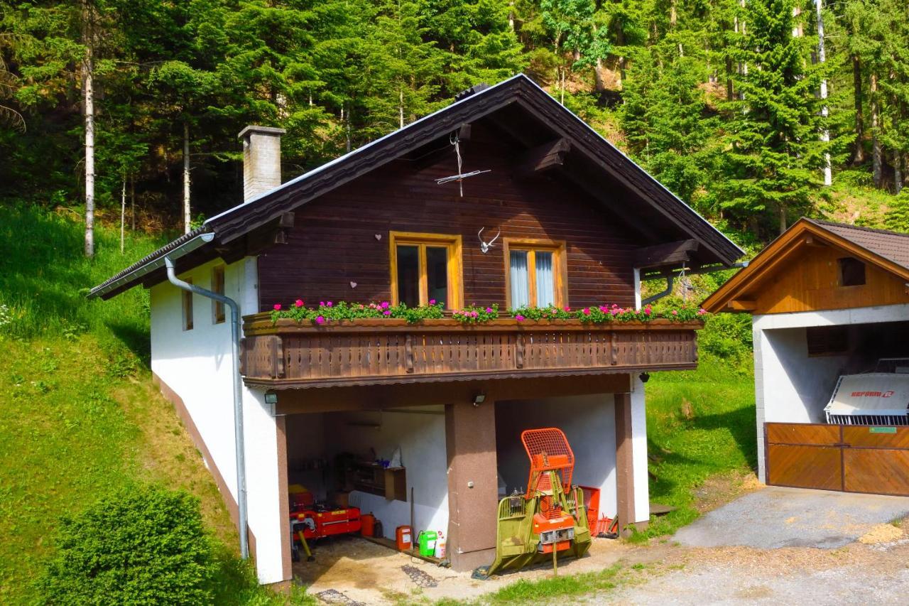 Hotel Gaestehaus Berger - Priglhof Treffen Exteriér fotografie