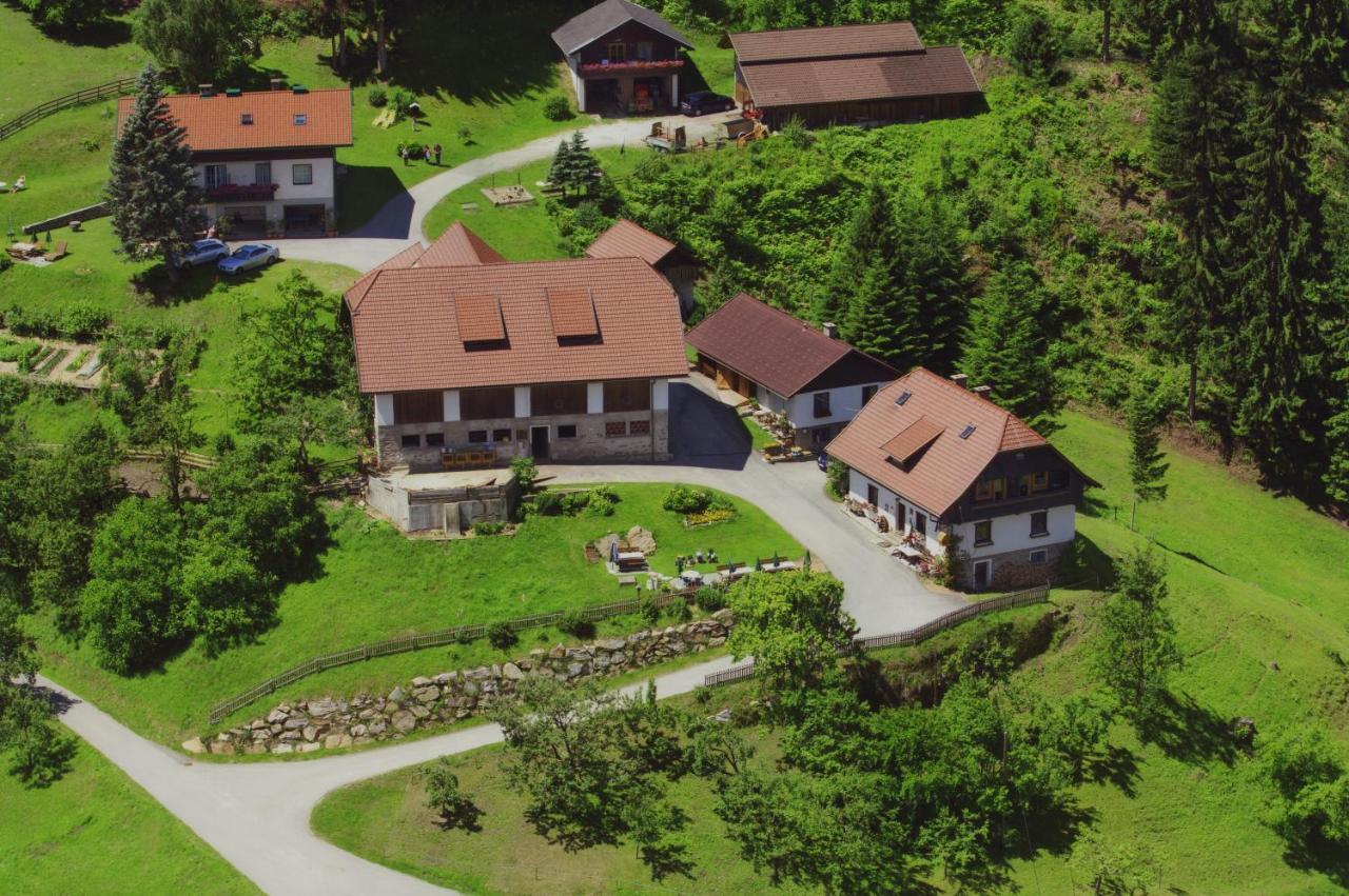 Hotel Gaestehaus Berger - Priglhof Treffen Exteriér fotografie