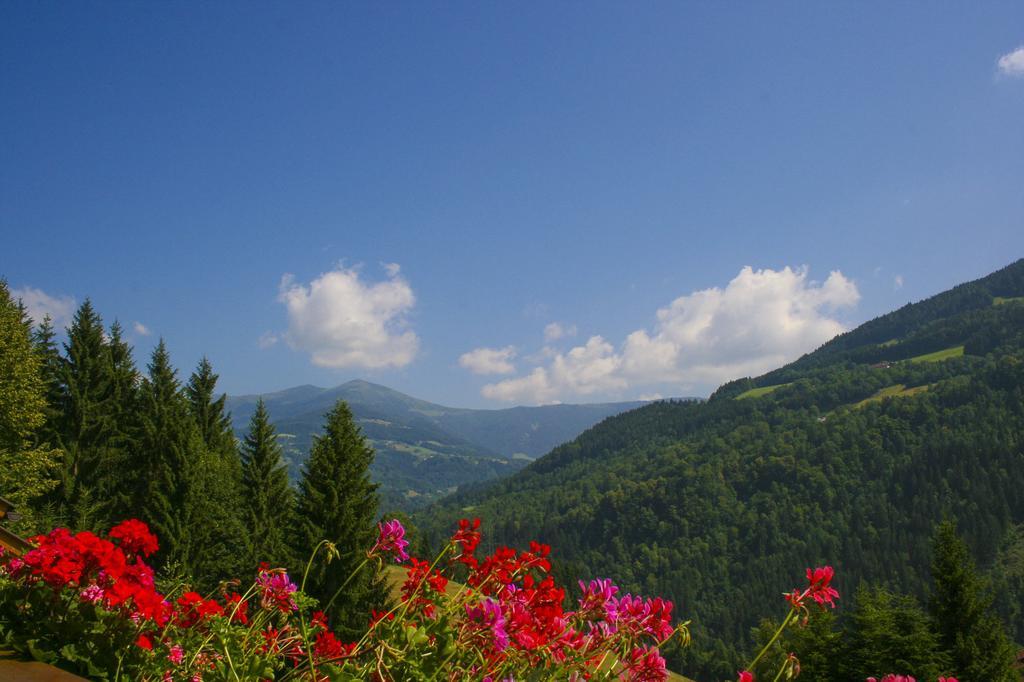 Hotel Gaestehaus Berger - Priglhof Treffen Pokoj fotografie