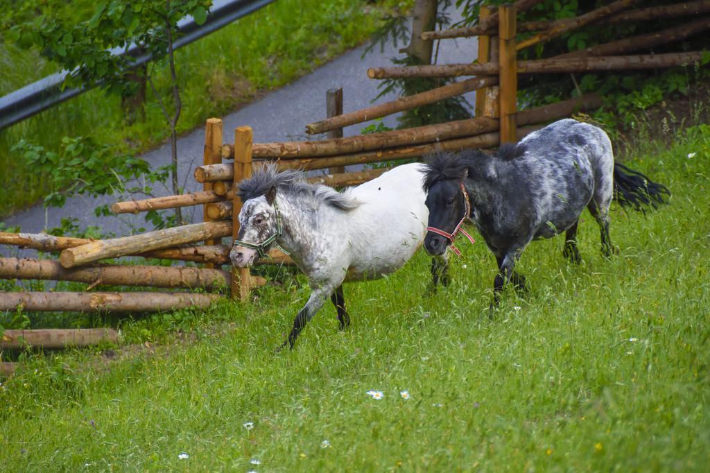 Hotel Gaestehaus Berger - Priglhof Treffen Exteriér fotografie