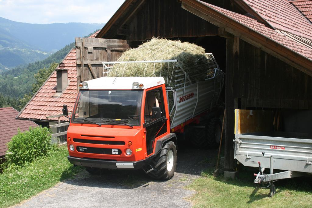 Hotel Gaestehaus Berger - Priglhof Treffen Exteriér fotografie