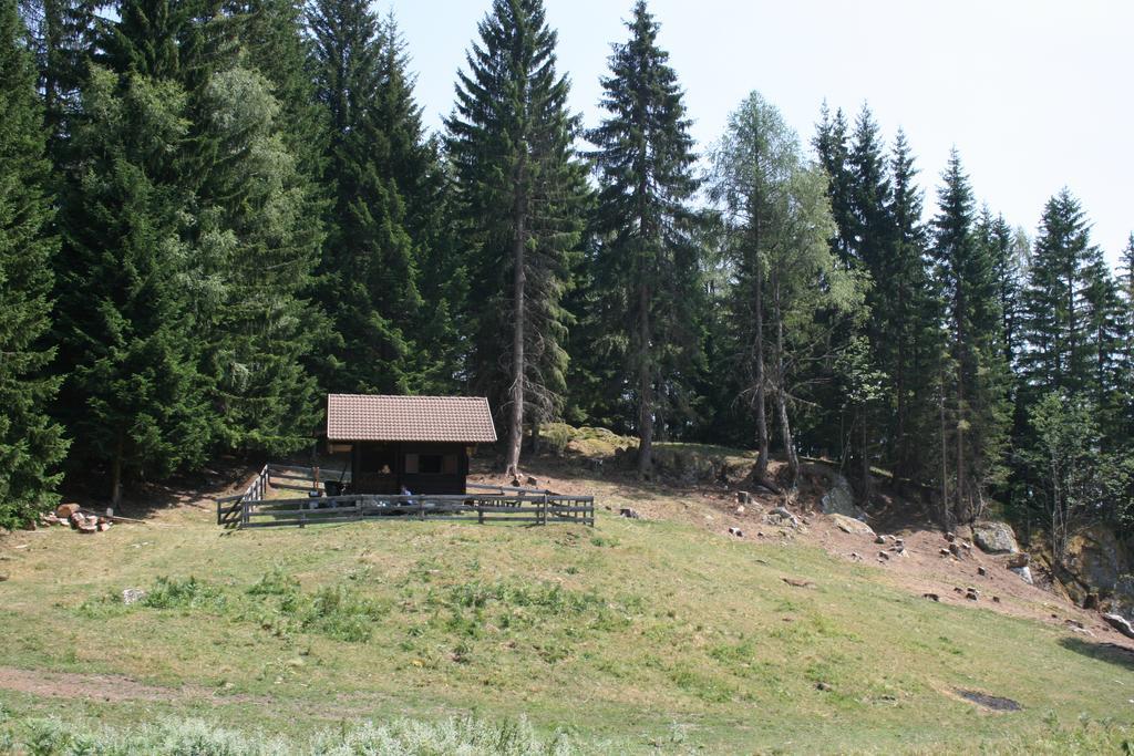 Hotel Gaestehaus Berger - Priglhof Treffen Exteriér fotografie