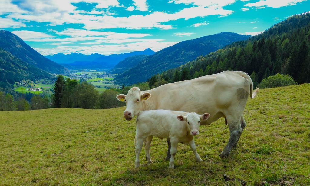 Hotel Gaestehaus Berger - Priglhof Treffen Exteriér fotografie